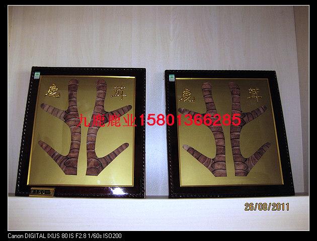 鹿鞭人身鹿鞭怎么吃圖片