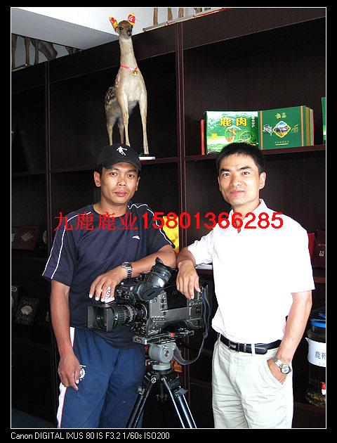 應(yīng)北京梅花鹿鹿肉，天津梅花鹿鹿肉，山西太原梅花鹿鹿內(nèi)，陜西榆林應(yīng)