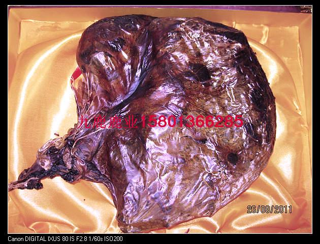 鹿胎膏品牌鹿胎膏美容養(yǎng)顏圖片