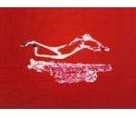 供應(yīng)九鹿出售鹿骨膠