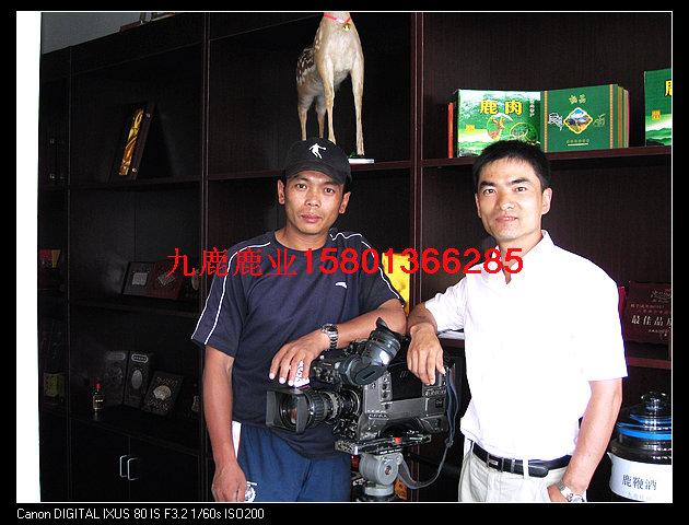 應(yīng)北京梅花鹿鹿肉，天津梅花鹿鹿肉，山西太原梅花鹿鹿內(nèi)，陜西榆林應(yīng)