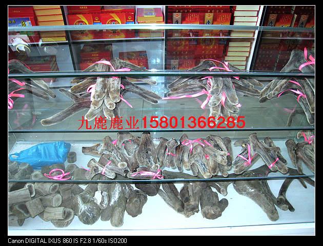 供應今年過節(jié)送禮送什么北京九鹿鹿業(yè)梅花鹿產品經銷網告訴你　