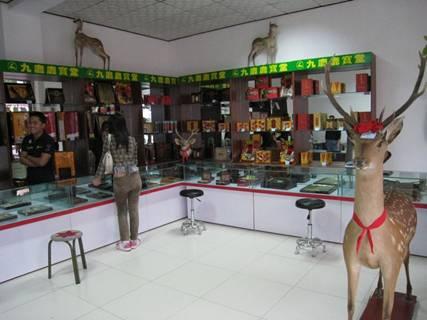 供應(yīng)干鹿鞭的食用方法東北鞭