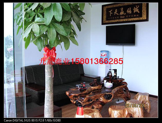 供應(yīng)炸鹿肉，鹿肉做湯，鹿肉的作用，怎樣燉鹿肉