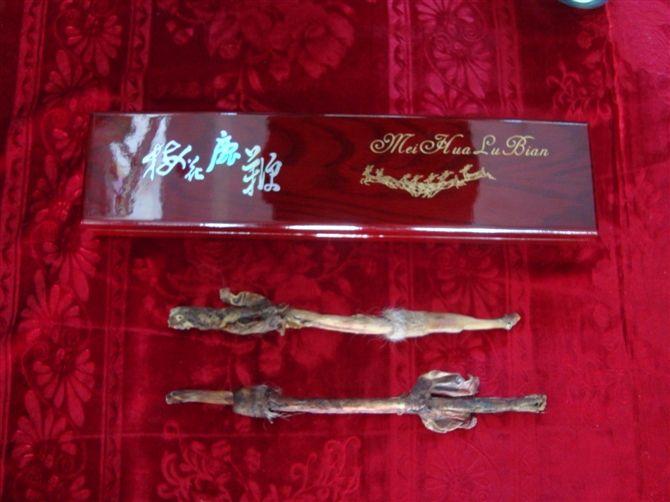 鹿鞭*的功效鹿鞭做法鹿鞭膏怎么服用