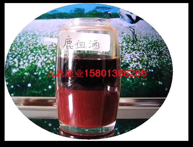 鹿茸血片圖片/鹿茸血片樣板圖 (2)