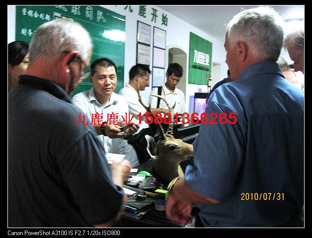 供應(yīng)鹿*的吃法鹿*的作用北京九鹿鹿業(yè)出售*