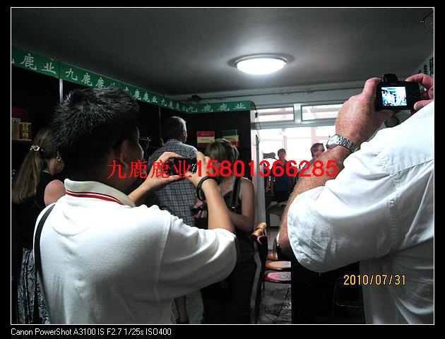 供應北京九鹿鹿業(yè)大鹿*的吃法鹿*的吃法