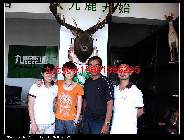 應(yīng)北京梅花鹿鹿肉，天津梅花鹿鹿肉，山西太原梅花鹿鹿內(nèi)，陜西榆林應(yīng)