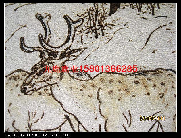 養(yǎng)殖梅花鹿梅花鹿吃什么梅花鹿圖片