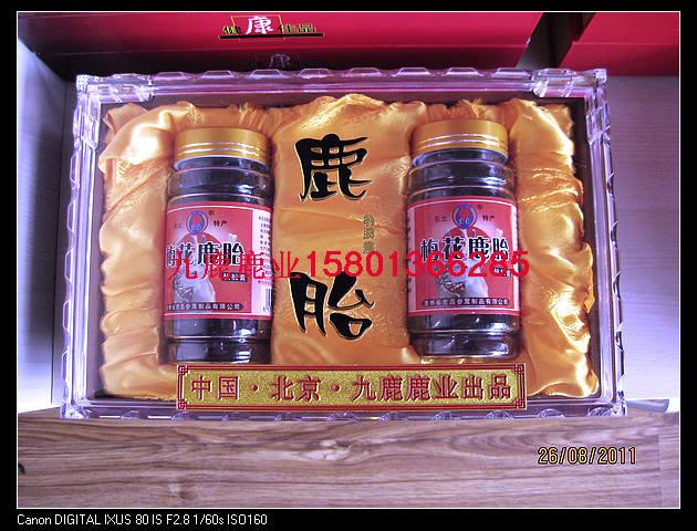 供應人工梅花鹿 梅花鹿交配全過程 梅花鹿的圖片 梅花鹿鹿茸片人工
