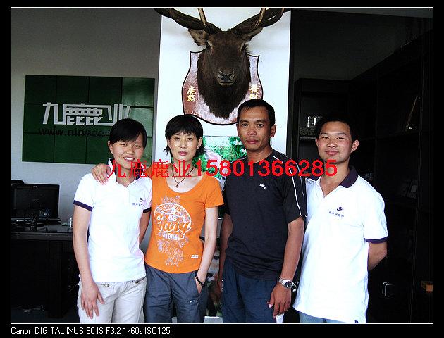 應(yīng)北京梅花鹿鹿肉，天津梅花鹿鹿肉，山西太原梅花鹿鹿內(nèi)，陜西榆林應(yīng)