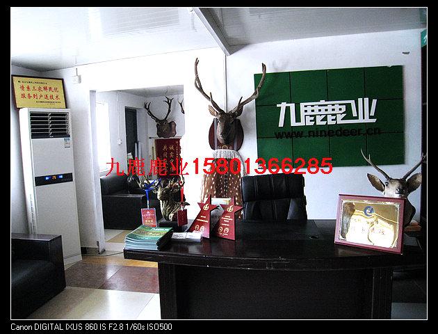 供應(yīng)梅花鹿養(yǎng)殖技能