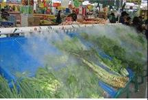 供應果蔬保鮮加濕器不銹鋼加濕器