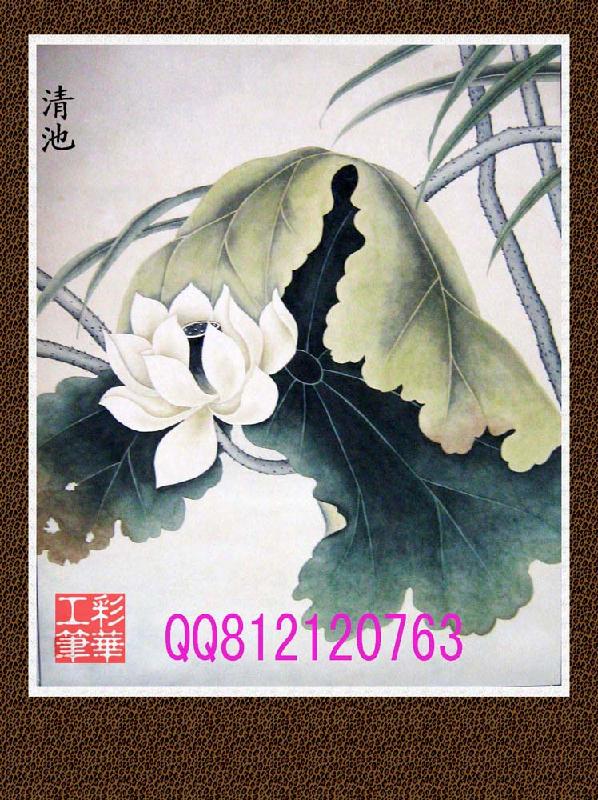 纯手工绘画国画荷花工笔画清池图片