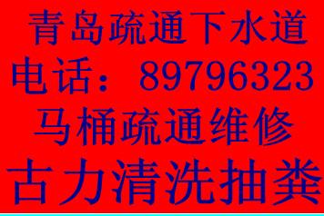 青岛市南投下水通马桶地漏古力图片