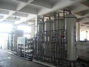供應(yīng)湛江專業(yè)生產(chǎn)去離子水設(shè)備廠