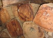 供應(yīng)非洲柚木進(jìn)口/非洲柚木進(jìn)口報(bào)關(guān)/柚木進(jìn)口報(bào)關(guān)手續(xù)/柚木進(jìn)口報(bào)關(guān)