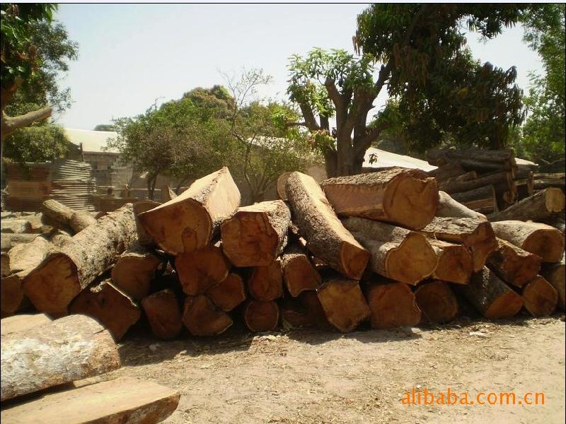 供應(yīng)非洲*紫檀進(jìn)口、*紫檀進(jìn)口報(bào)關(guān)、*紫檀進(jìn)口流程手續(xù)
