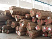 供應(yīng)非洲柚木進(jìn)口/非洲柚木進(jìn)口報(bào)關(guān)/柚木進(jìn)口報(bào)關(guān)手續(xù)/柚木進(jìn)口報(bào)關(guān)
