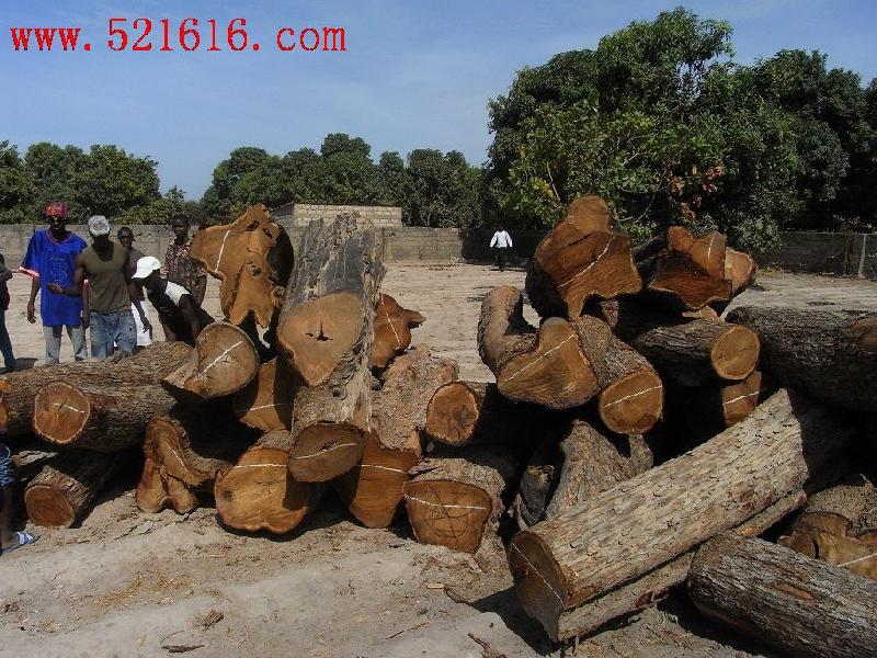 供應(yīng)非洲*紫檀進(jìn)口、*紫檀進(jìn)口報(bào)關(guān)、*紫檀進(jìn)口流程手續(xù)