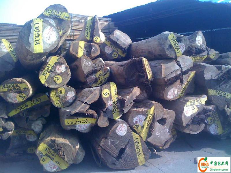 黃埔港木材清關圖片/黃埔港木材清關樣板圖 (3)