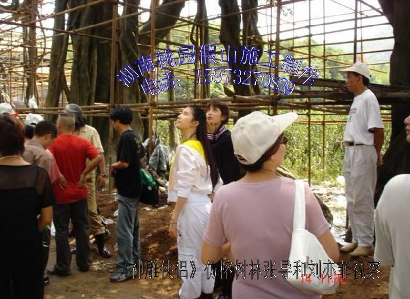 供應(yīng)水泥人造塑石假山施工制作公司