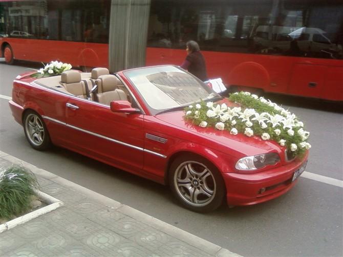 租車包車圖片/租車包車樣板圖 (4)