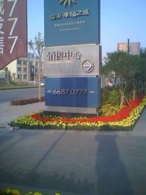 青島綠植租賃圖片