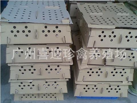 供應(yīng)潮州珍*苗
