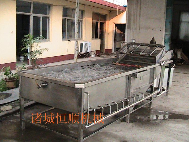 工業(yè)用的蔬菜清洗機水果清洗機圖片