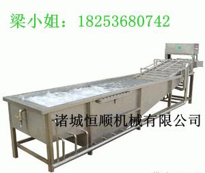 恒順機械供應果蔬毛輥清洗機圖片