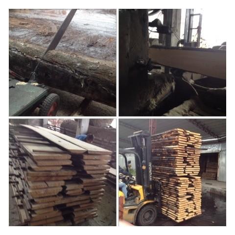 供應(yīng)歐洲櫸木原木 歐洲櫸木原木家具材/線條材
