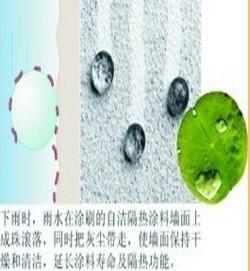 荷葉自潔防曬隔熱節(jié)涂料圖片