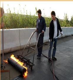 三元乙丙橡膠防水卷材圖片