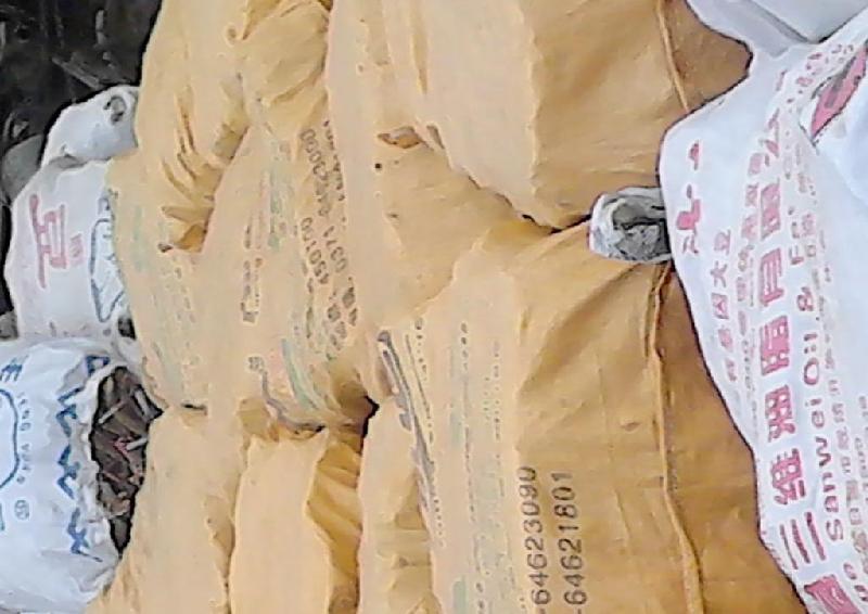 供應(yīng)泡桐占地小苗泡桐種根