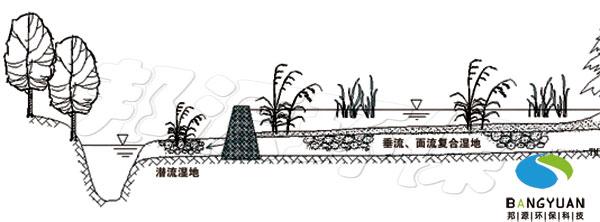 生態(tài)濕地圖片/生態(tài)濕地樣板圖 (2)