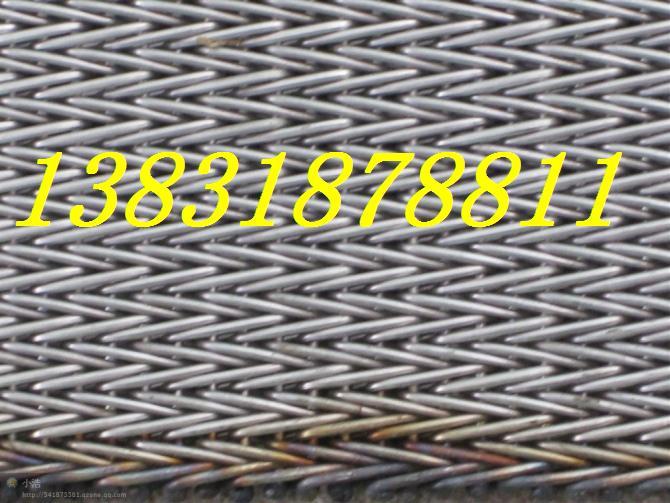 供應(yīng)果蔬不銹鋼傳送網(wǎng)帶 不銹鋼網(wǎng)帶 網(wǎng)帶 傳送網(wǎng)帶 供應(yīng)輸送帶