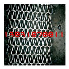 不銹鋼網(wǎng)帶/不銹鋼網(wǎng)鏈/輸送網(wǎng)鏈圖片