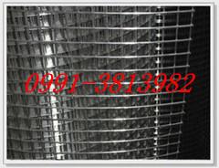新疆電焊網(wǎng)焊接牢固網(wǎng)孔均勻圖片