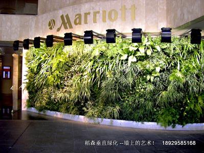 立體綠化垂直綠化