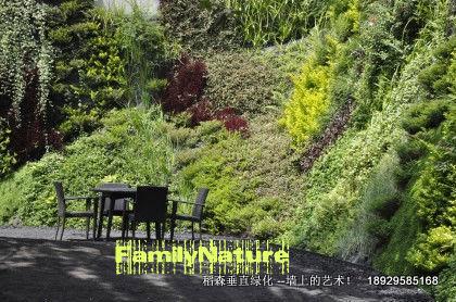 墻體綠化廣東深圳