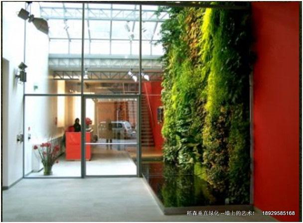 稻森綠墻的概念