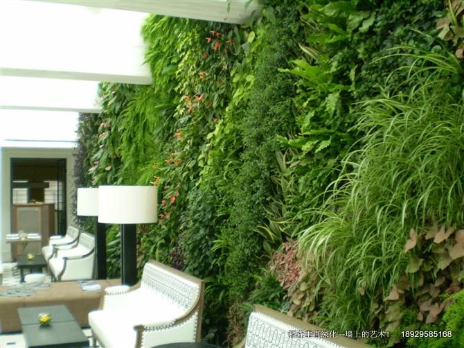 稻森綠墻-維護更方便更簡單！