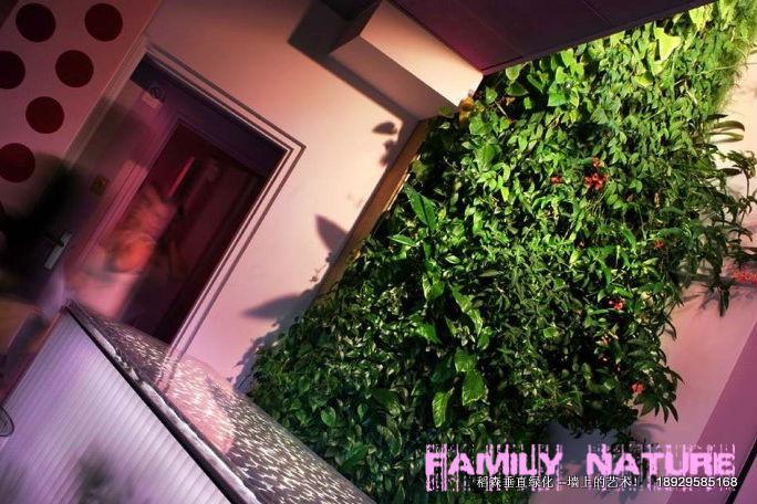 室內綠化，室內綠化公司，室內綠化報價，室內綠化設計