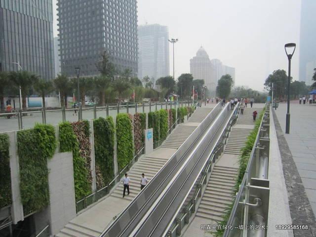 布蘭克的經(jīng)典植物墻-與稻森植物墻