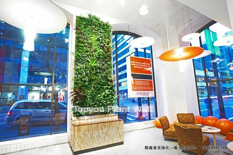 *部會(huì)所酒店商場(chǎng)植物墻-稻森*部會(huì)所酒店商場(chǎng)植物墻稻森