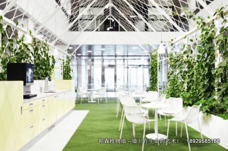 供應(yīng)東莞室內(nèi)綠化墻，東莞室內(nèi)綠化墻安裝，東莞室內(nèi)綠化墻報(bào)價(jià)