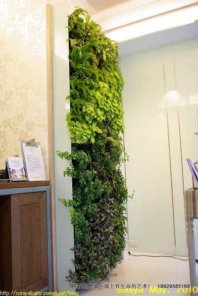 白云區(qū)室內(nèi)綠化墻，白云區(qū)室內(nèi)綠化墻公司，白云區(qū)室內(nèi)綠化墻價格