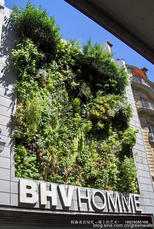 無(wú)土植物墻創(chuàng)造者-稻森法式植物墻無(wú)土植物墻創(chuàng)造者稻森法式植物墻